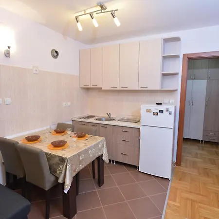 Zvezdana Noc Vrnjačka Banja