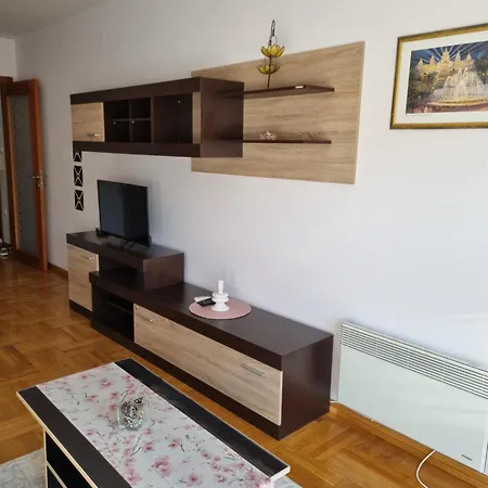 Zvezdana Noc شقة Vrnjačka Banja