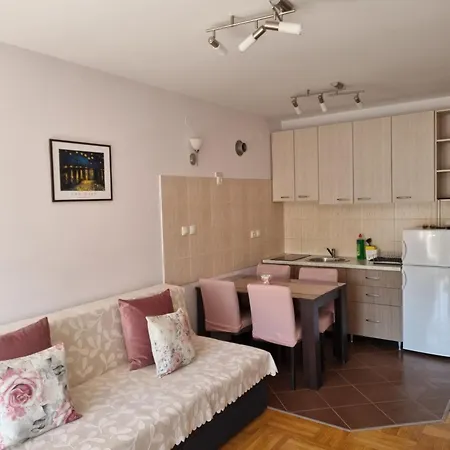 Zvezdana Noc Vrnjačka Banja