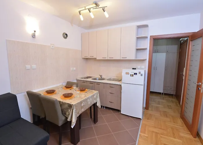 Zvezdana Noc Vrnjačka Banja