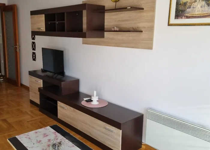 Zvezdana Noc شقة Vrnjačka Banja