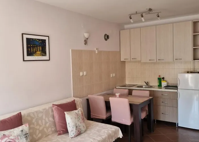 Zvezdana Noc Vrnjačka Banja